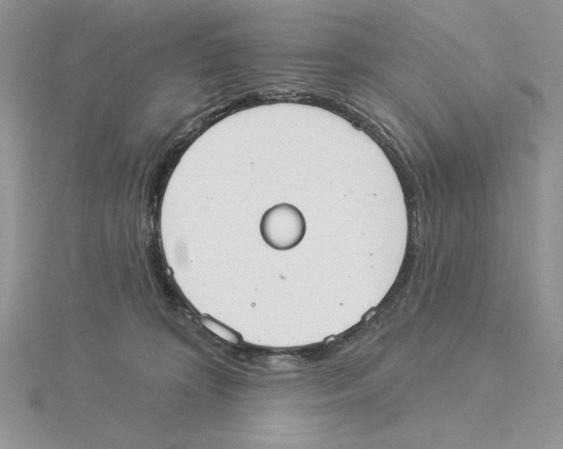 X0000114550324200911161424