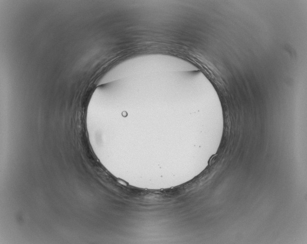 X0000114550325200911161424