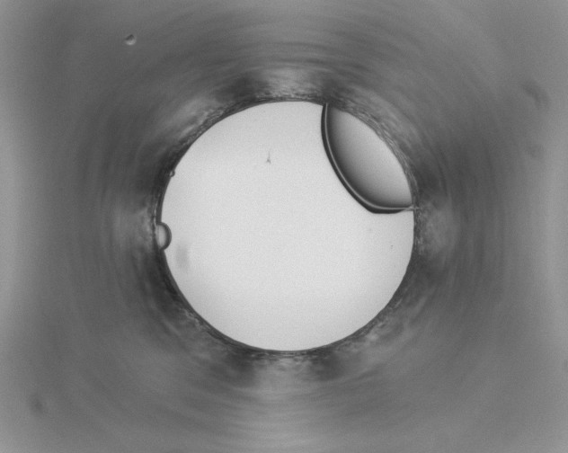 X0000114550329200911161424