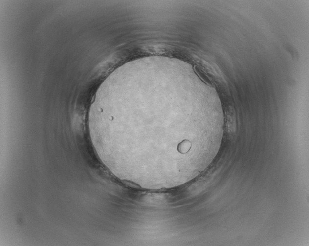 X0000114550332200911161424