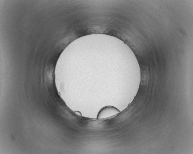 X0000114550334200911161424