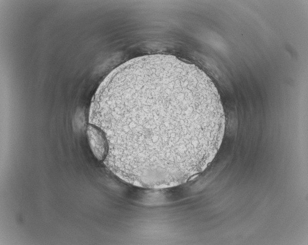 X0000114550335200911161424