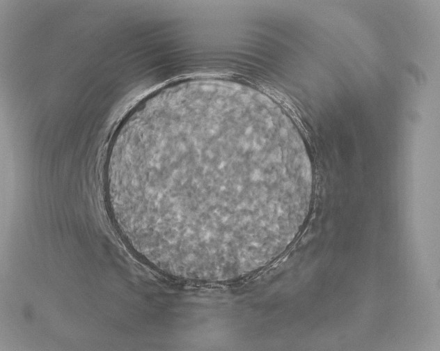 X0000114550337200911161423