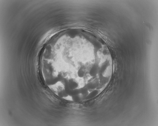 X0000114550339200911161423