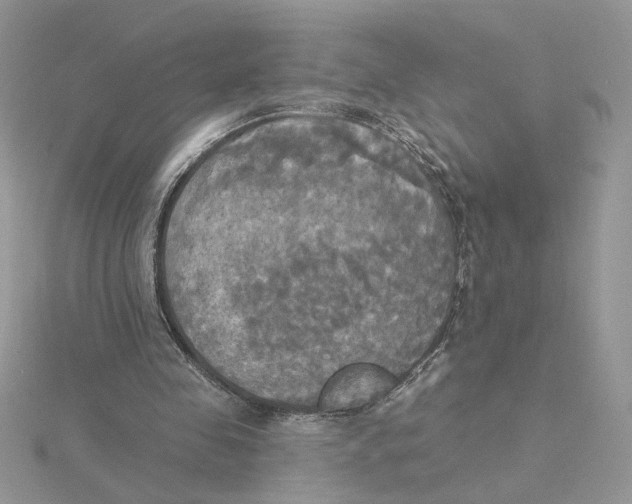 X0000114550341200911161423