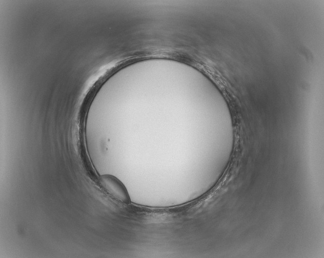 X0000114550342200911161423