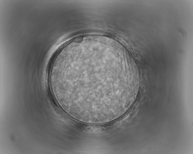 X0000114550343200911161423