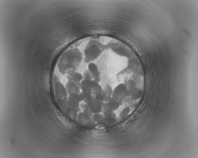 X0000114550345200911161423