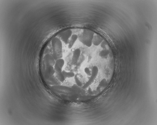 X0000114550346200911161423