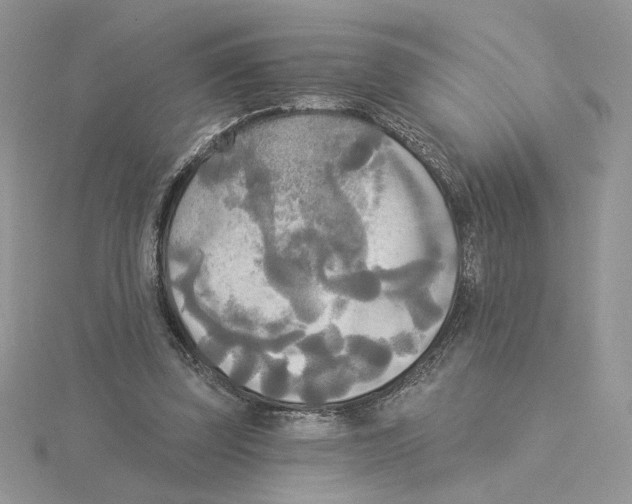 X0000114550347200911161423