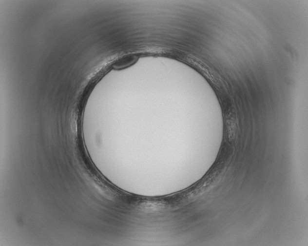 X0000114550350200911161423