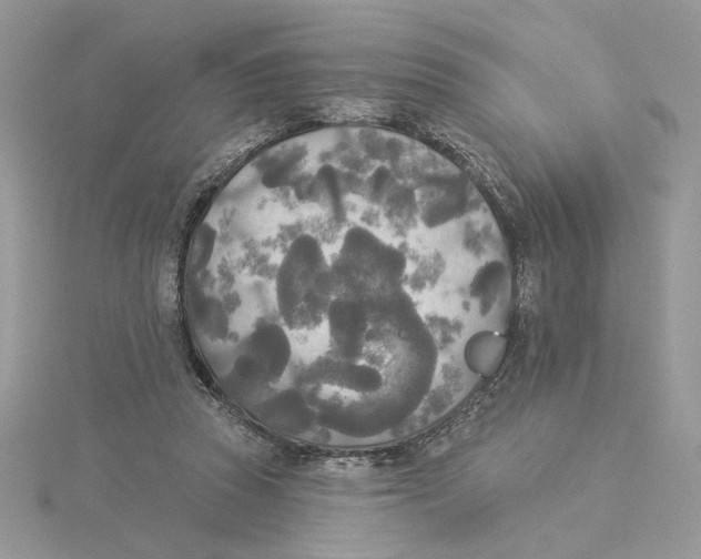 X0000114550353200911161423