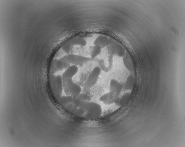 X0000114550354200911161423