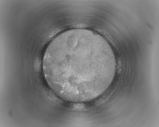 X0000114550355200911161423