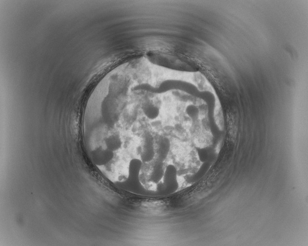 X0000114550357200911161423