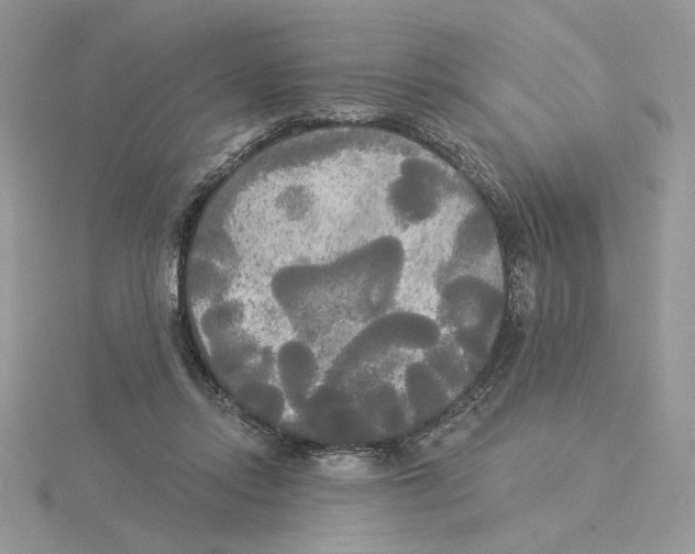 X0000114550358200911161423