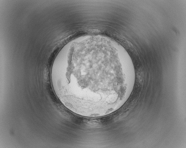 X0000114550359200911161423