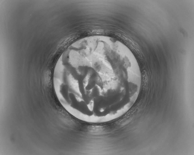 X0000114550361200911161423