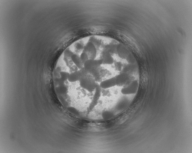 X0000114550367200911161423