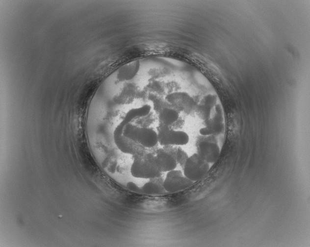 X0000114550369200911161423