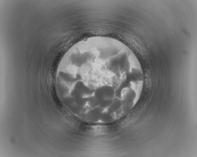 X0000114550371200911161423