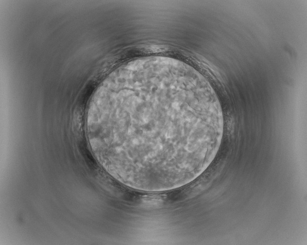 X0000114550373200911161423