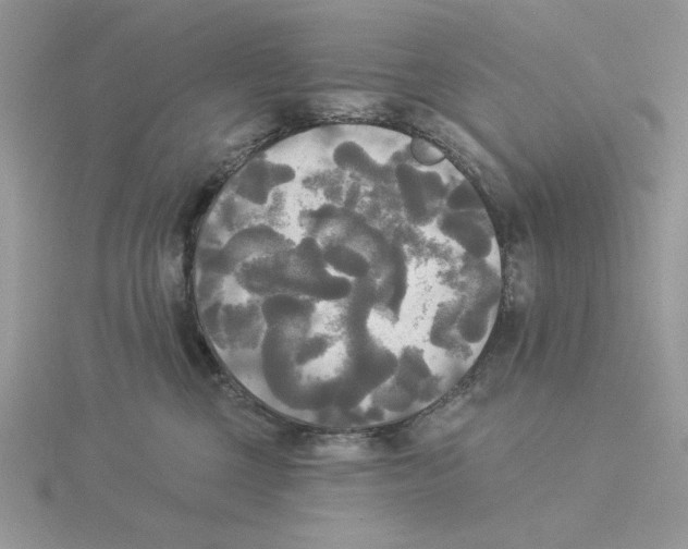 X0000114550377200911161424