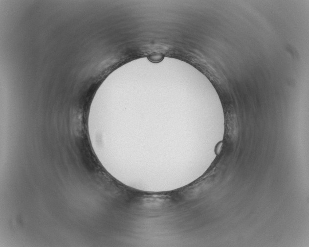 X0000114550378200911161424