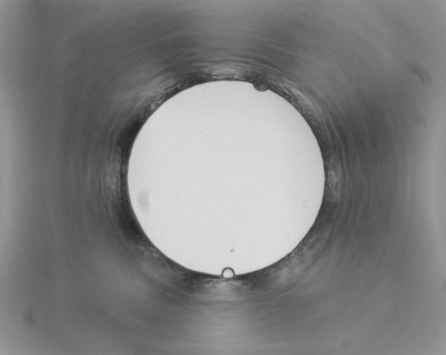 X0000114550379200911161424