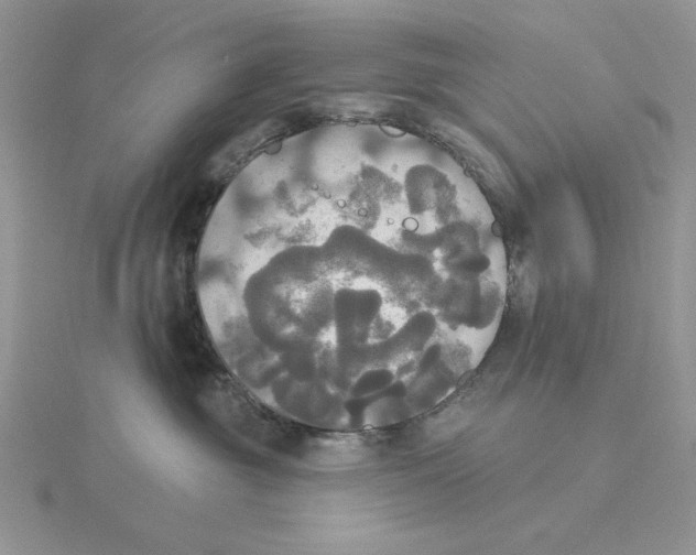 X0000114550381200911161424