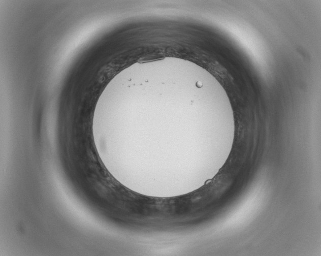 X0000114550383200911161424