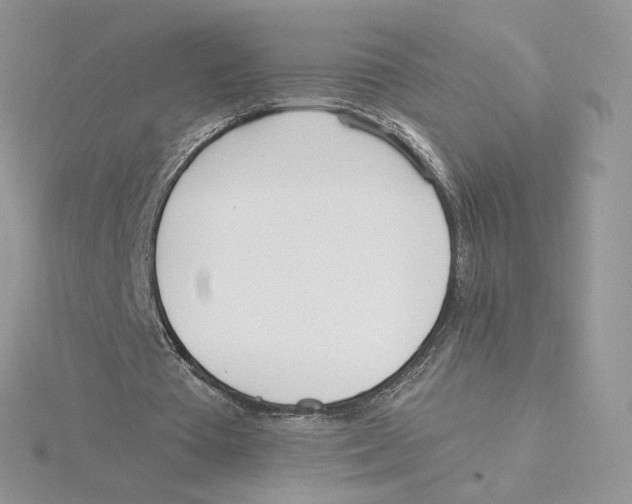 X0000114550385200911161423