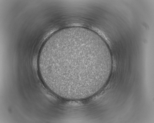 X0000114550386200911161423