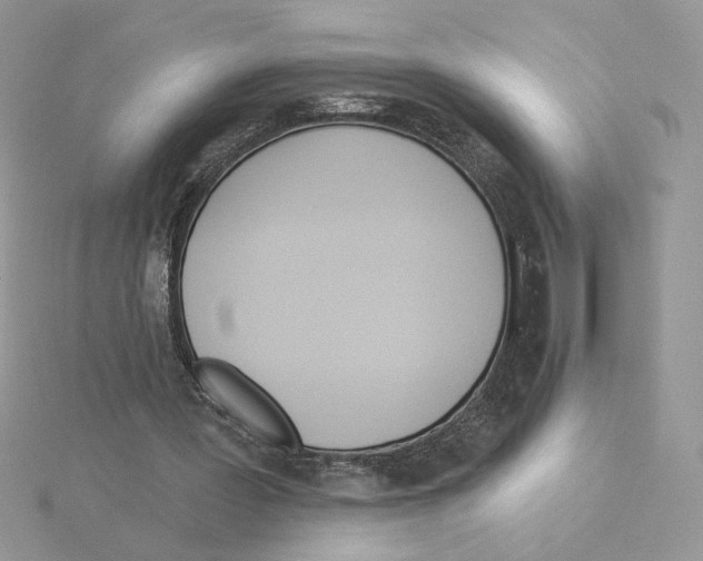 X0000114550387200911161423