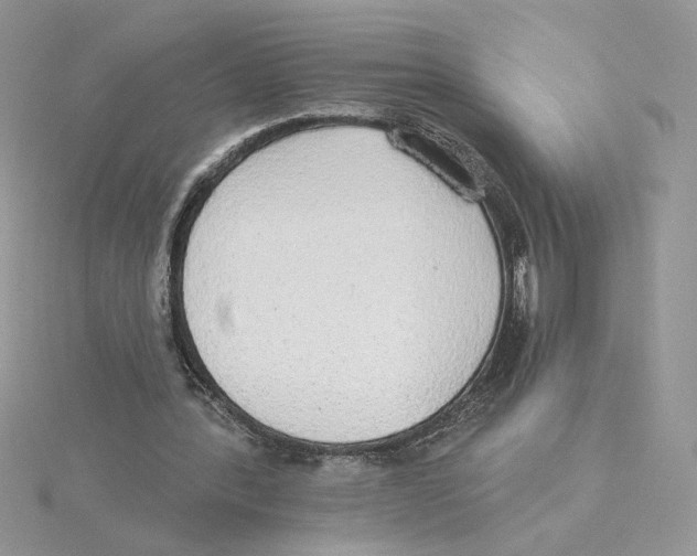 X0000114550388200911161423