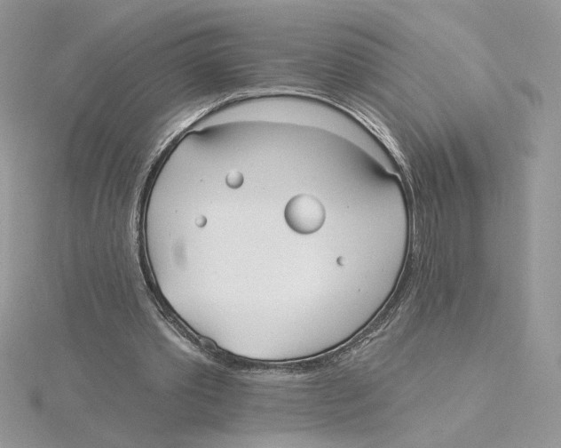 X0000114550389200911161423