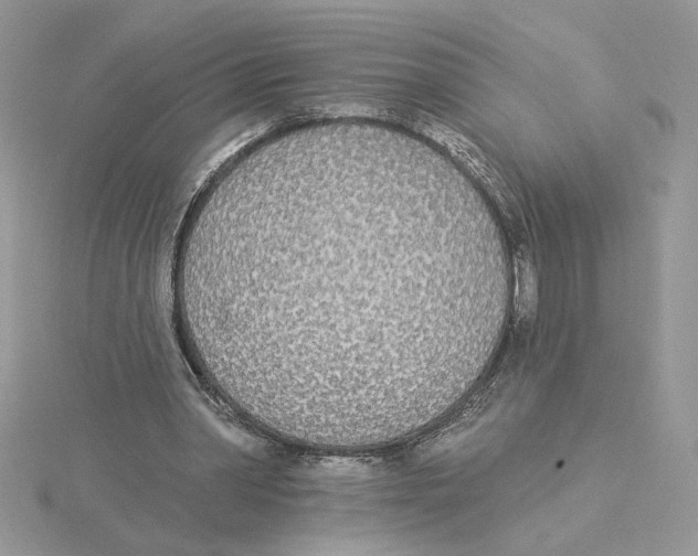 X0000114550390200911161423