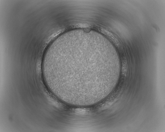 X0000114550394200911161423