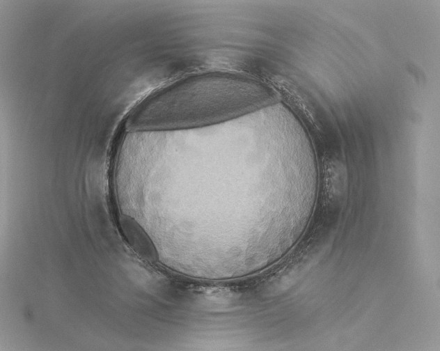 X0000114550395200911161423