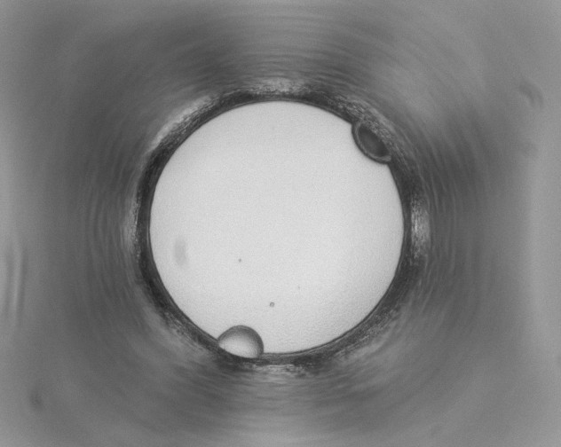 X0000114550396200911161423