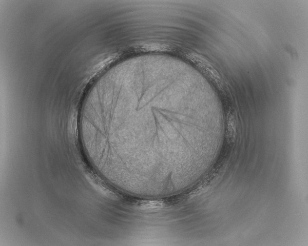 X0000114550398200911161423