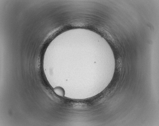 X0000114550400200911161423