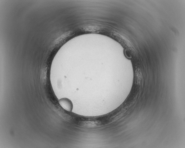 X0000114550404200911161423