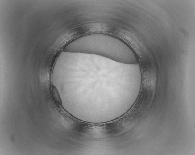 X0000114550405200911161423