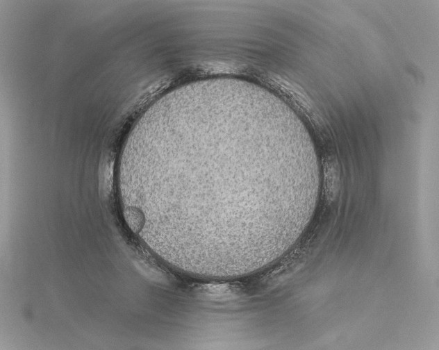 X0000114550406200911161423