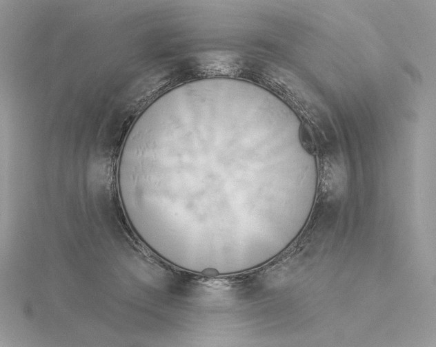 X0000114550409200911161422