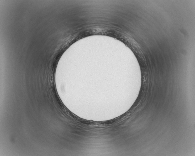 X0000114550419200911161422