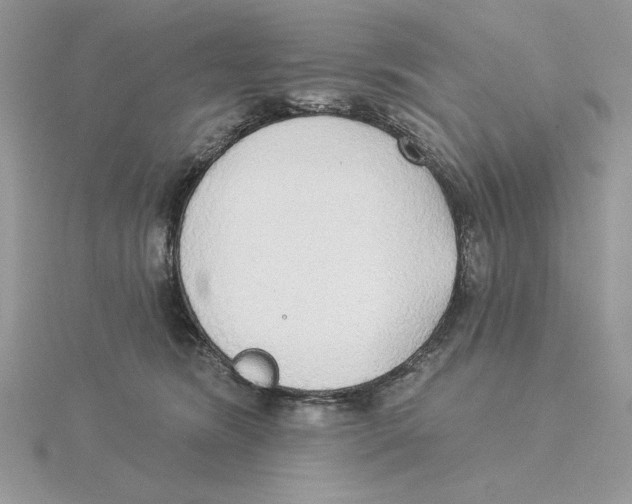 X0000114550420200911161422