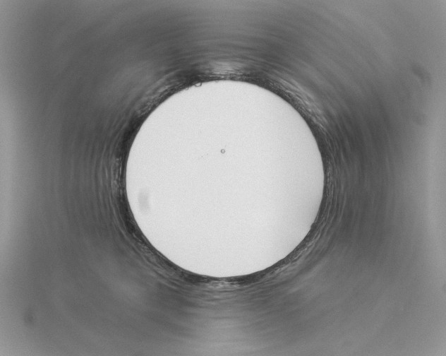 X0000114550421200911161422