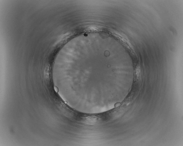 X0000114550423200911161422